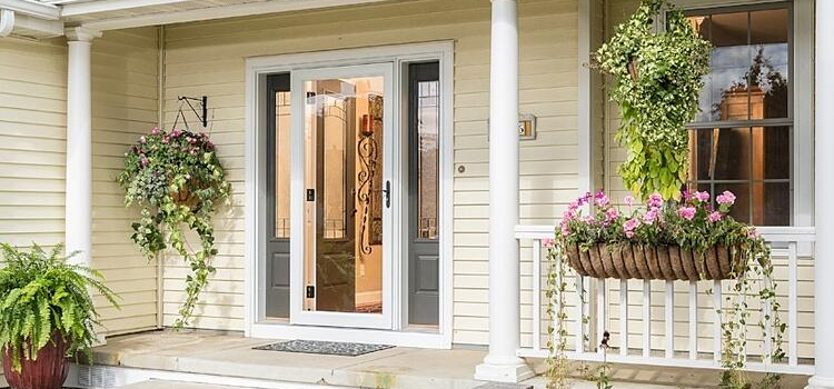 screen door installation in Lemoore Station