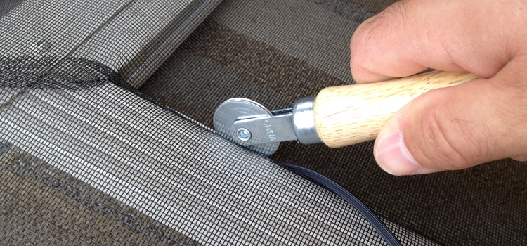 metal screen door repair in Lemoore Station